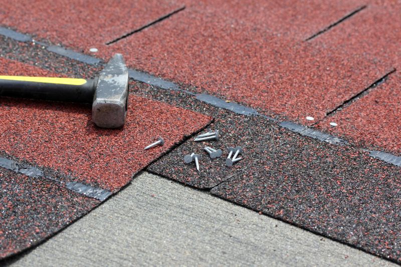 Shingle Repair Process